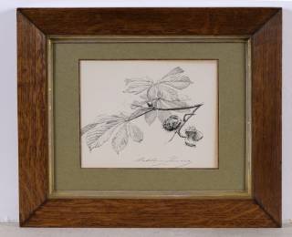 acquisition-d-un-dessin-original-de-madeleine-lemaire.jpg