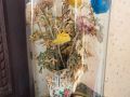 IMG 2647